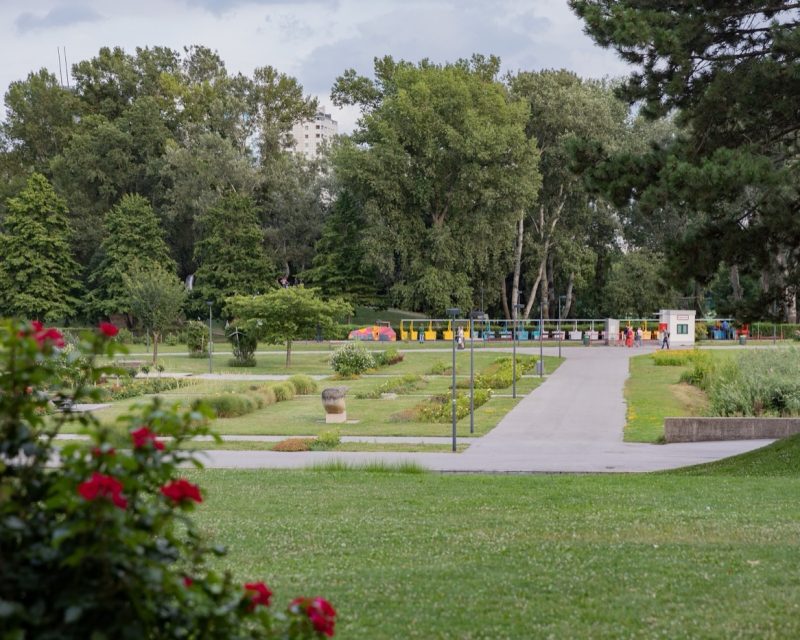 The rose garden of the Donaupark at the foot of the Danube Tower
