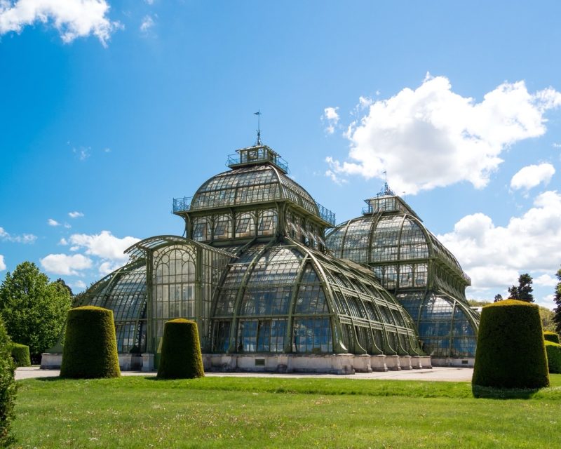 The Palm House at Schönbrunn, a curved iron-and-glass Victorian glasshouse in the palace park